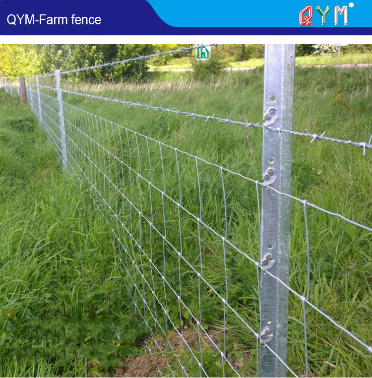 farm fence 1-1