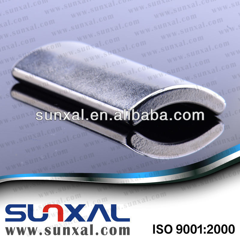 China Segment Ring Neodymmagneten Hersteller