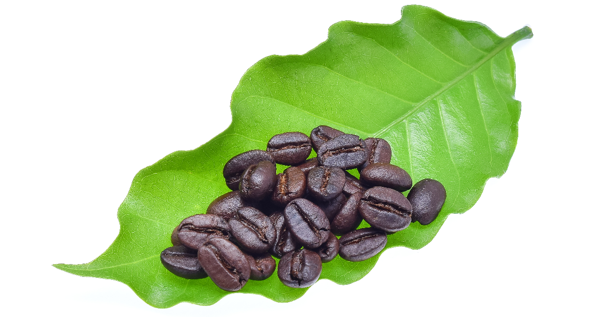Organic-acids-Powder Organic-acids-Powder