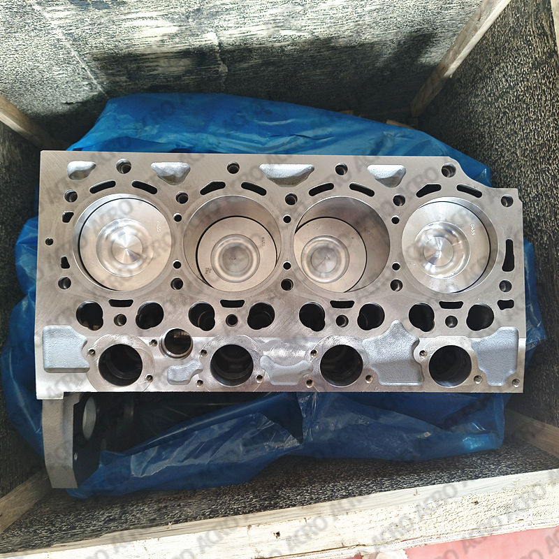 ACRO_BF4M2012_short block (3)_ ACRO_BF4M2012_short block (3)_