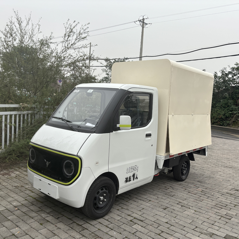 D02 mobile sales of electric vehicles D02 mobile sales of electric vehicles