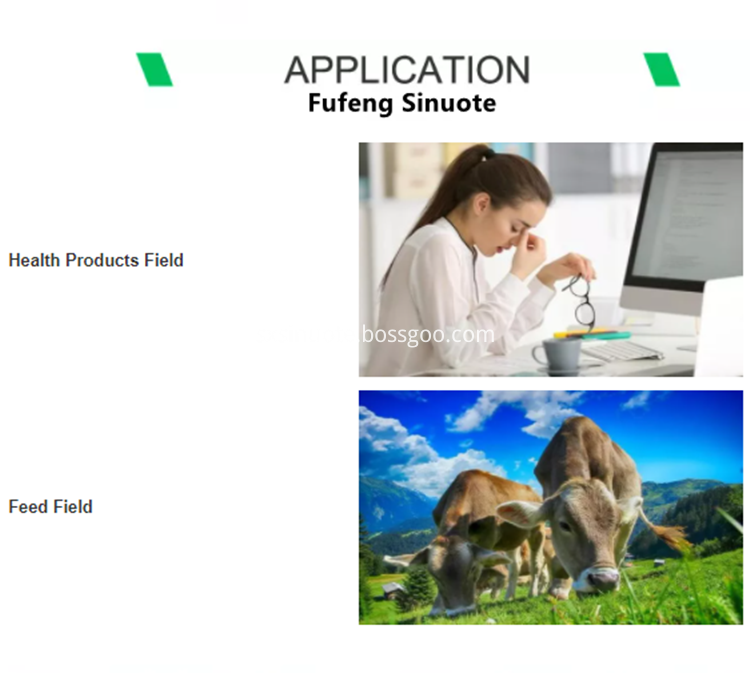 Application Of Astragalus Root Extract Application Of Astragalus Root Extract