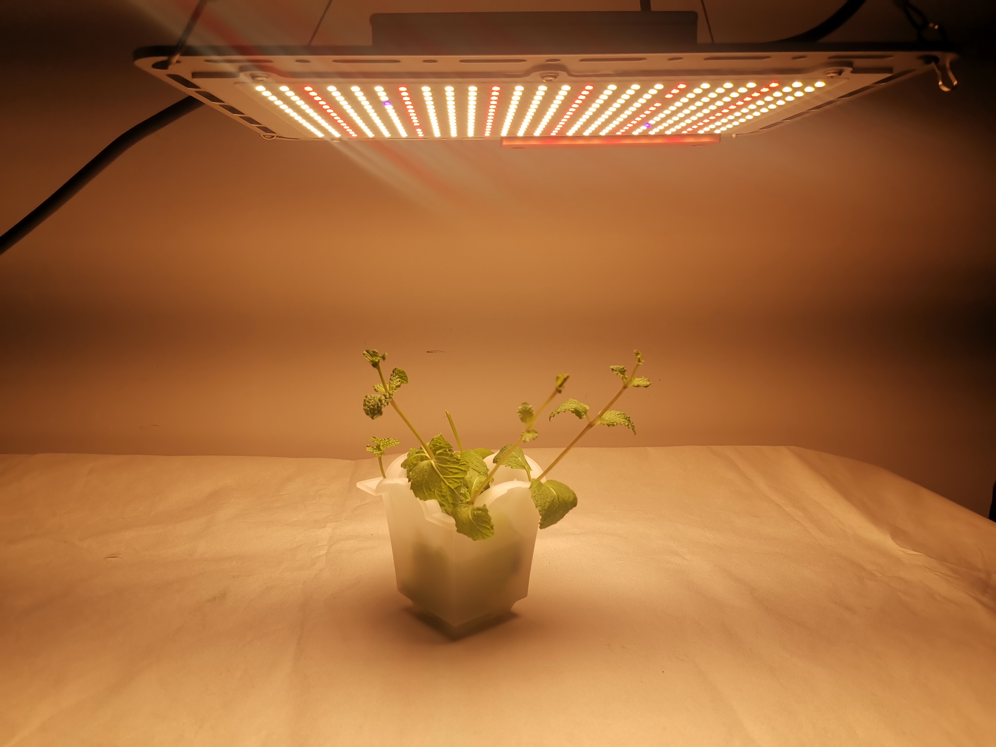 System Led Grow Light