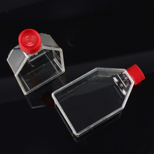 Best T25 cell culture flasks for adherent cells Manufacturer T25 cell culture flasks for adherent cells from China