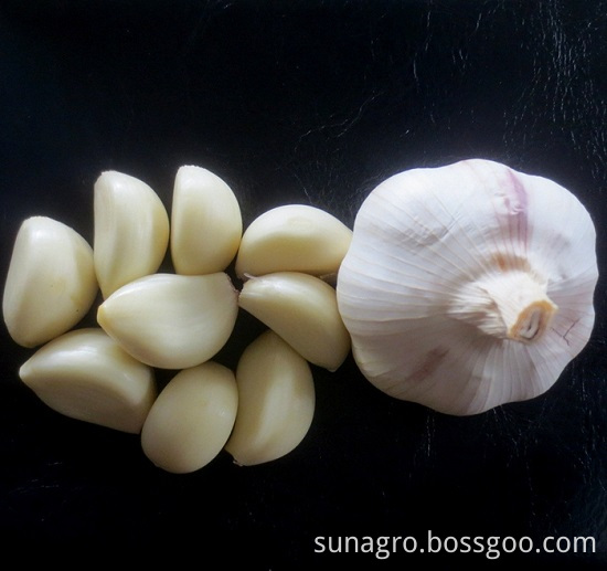 Fresh and delicious garlic