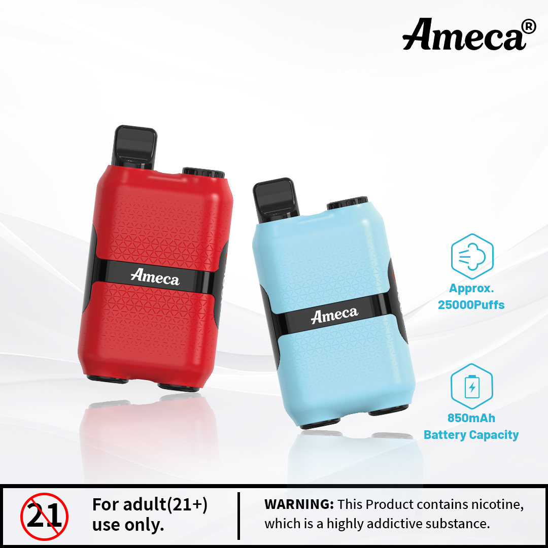 Ameca5 Ameca5