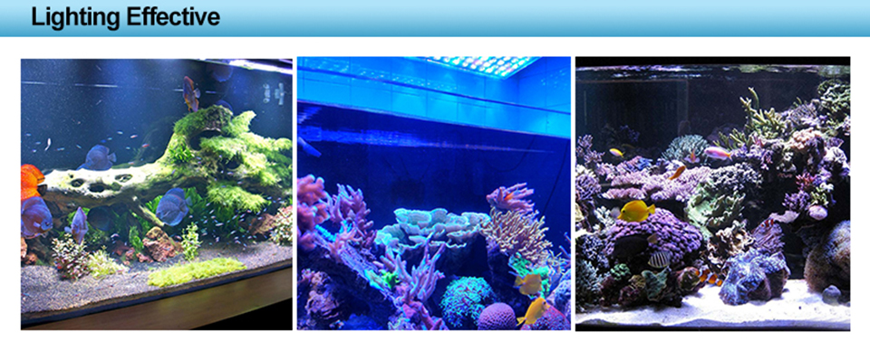 Aquarium Underwater Lighting