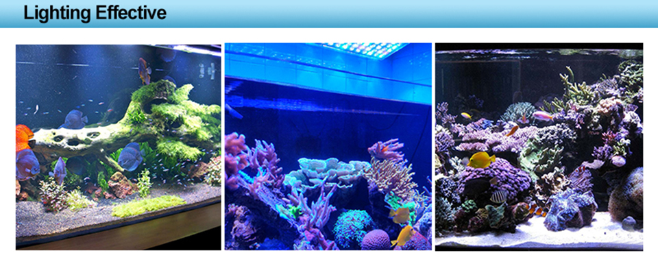 LED Aquarium Light