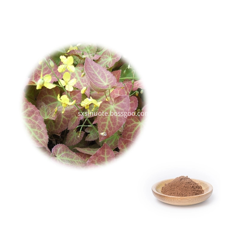 Giant Knotweed Extract Giant Knotweed Extract