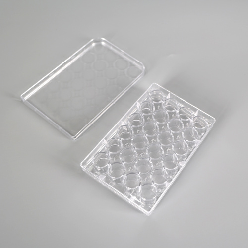 Best 24-well Flat Bottom Cell Culture Plate Manufacturer 24-well Flat Bottom Cell Culture Plate from China
