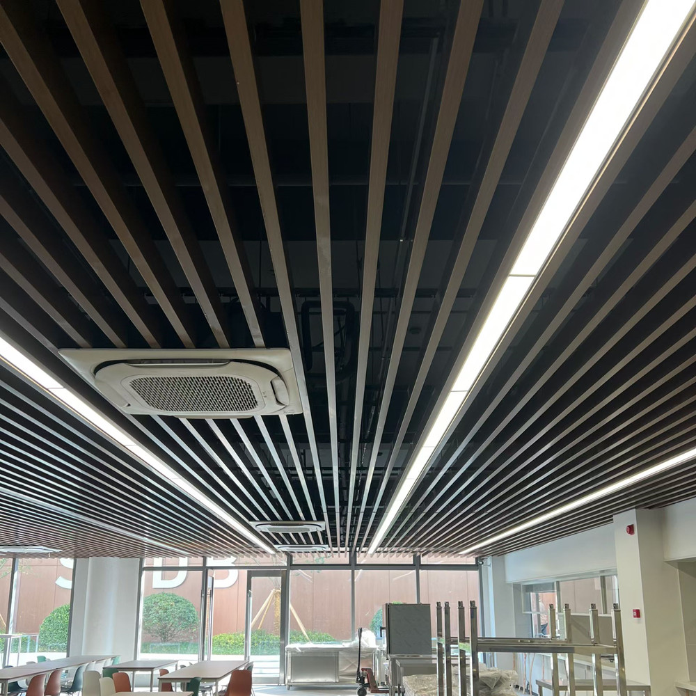 ceiling sheet ceiling sheet