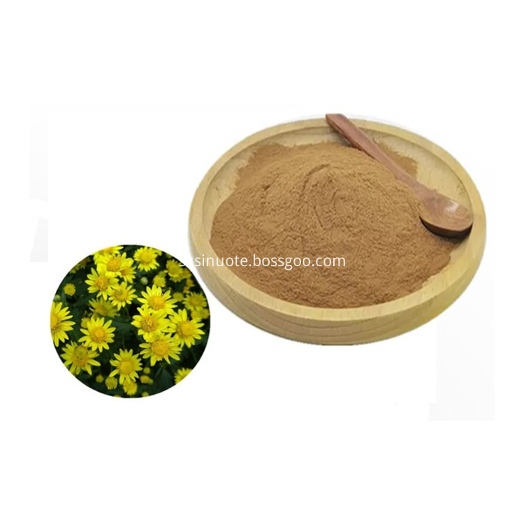 Wild Chrysanthemum Extract Wild Chrysanthemum Extract