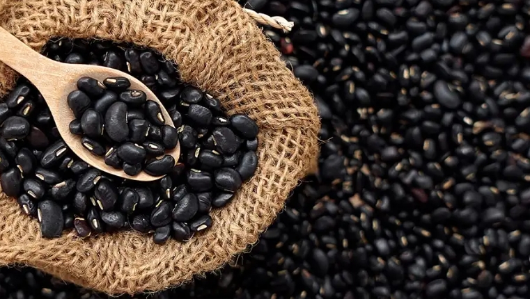 NutriBlend Organic Black Bean Powder NutriBlend Organic Black Bean Powder