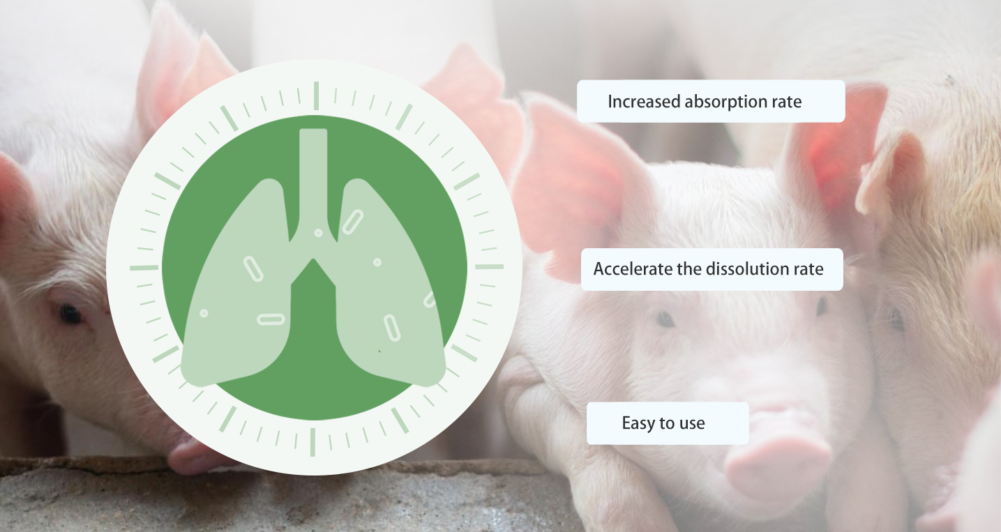 _20250406153031 _20250406153031