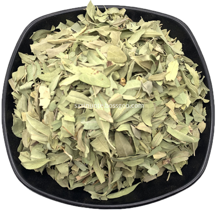 Apocynum Venetum Extract Apocynum Venetum Extract