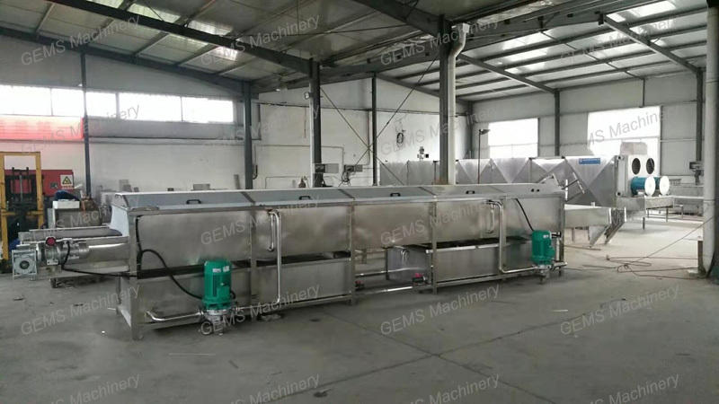 fruit washing machine9 fruit washing machine9