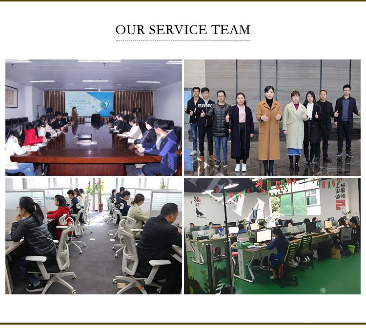 our team our team