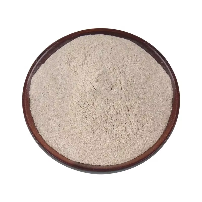 Bacillus subtilis Bacillus subtilis