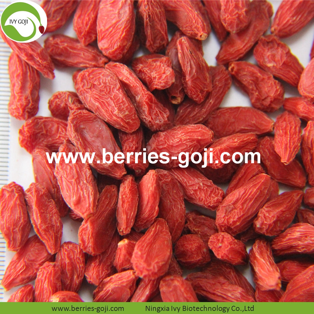 goji berry goji berry