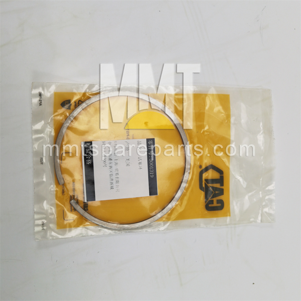 Piston ring 300-1319 Piston ring 300-1319