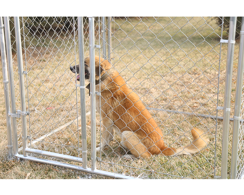 Dog Run Kennel Dog Run Kennel