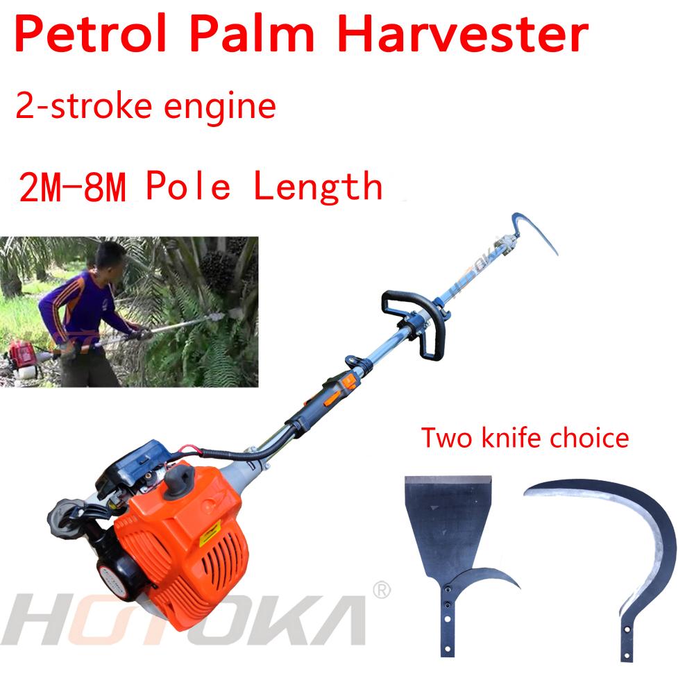 Palm Cutter Jpg Palm Cutter Jpg