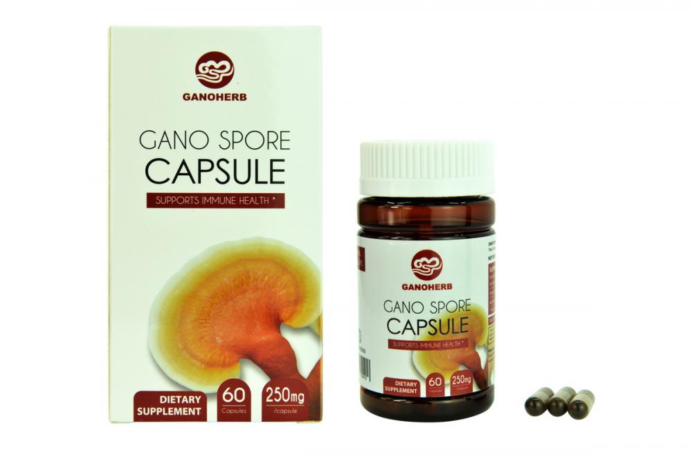 Ganoderma Capsule