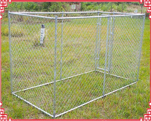 아연 도금 체인 링크 개 사육장 Galvanized Chain link dog kennel