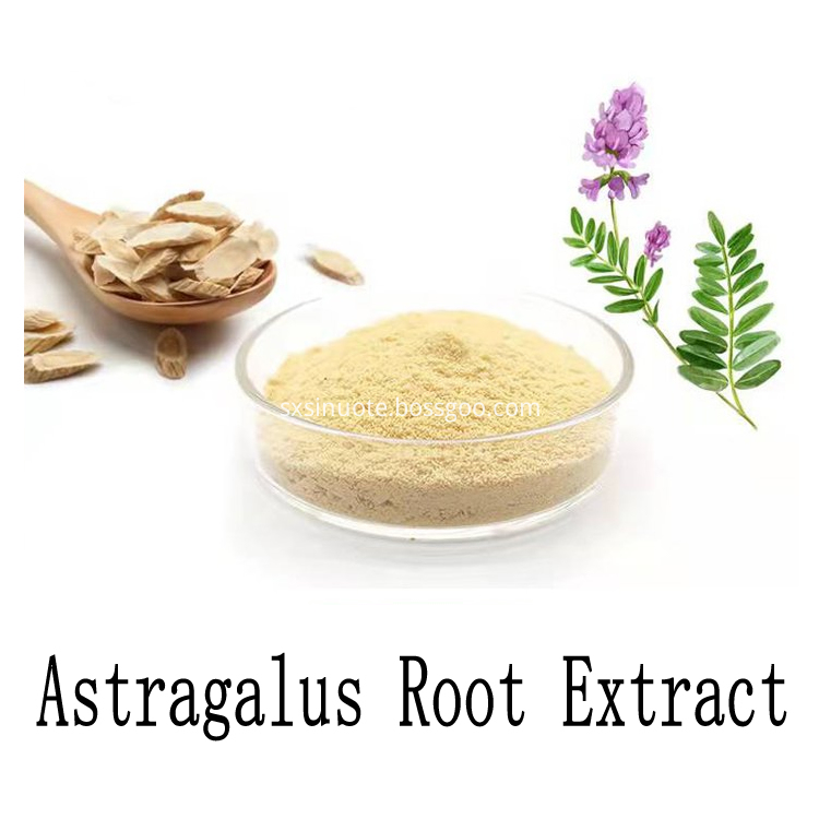 Astragalus Root Extract Astragalus Root Extract