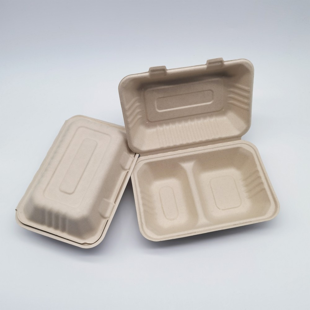 disposable food box07 disposable food box07