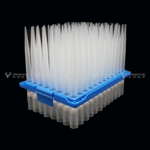 Best 1000 uL Clear Blue Medical Disposable Pipette Tip Manufacturer 1000 uL Clear Blue Medical Disposable Pipette Tip from China