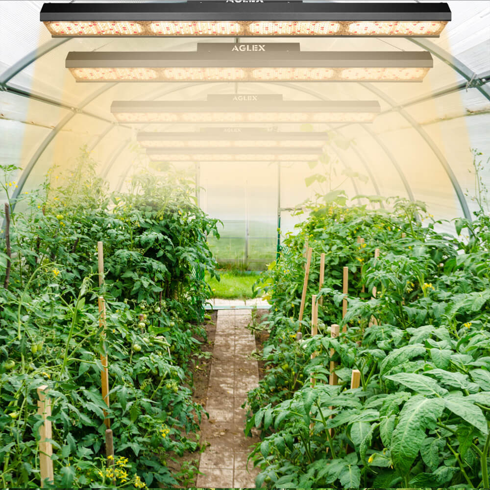 led grow light for farm