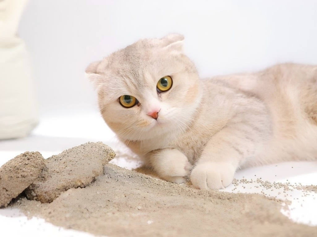 1.5mm Rose Scented Deodorizing Colored Bentonite Cat Litter Balls 1.5mm Rose Scented Deodorizing Colored Bentonite Cat Litter Balls
