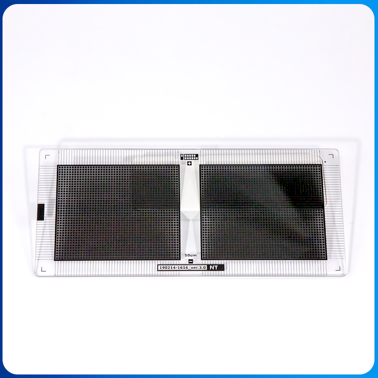 202509051548 202509051548