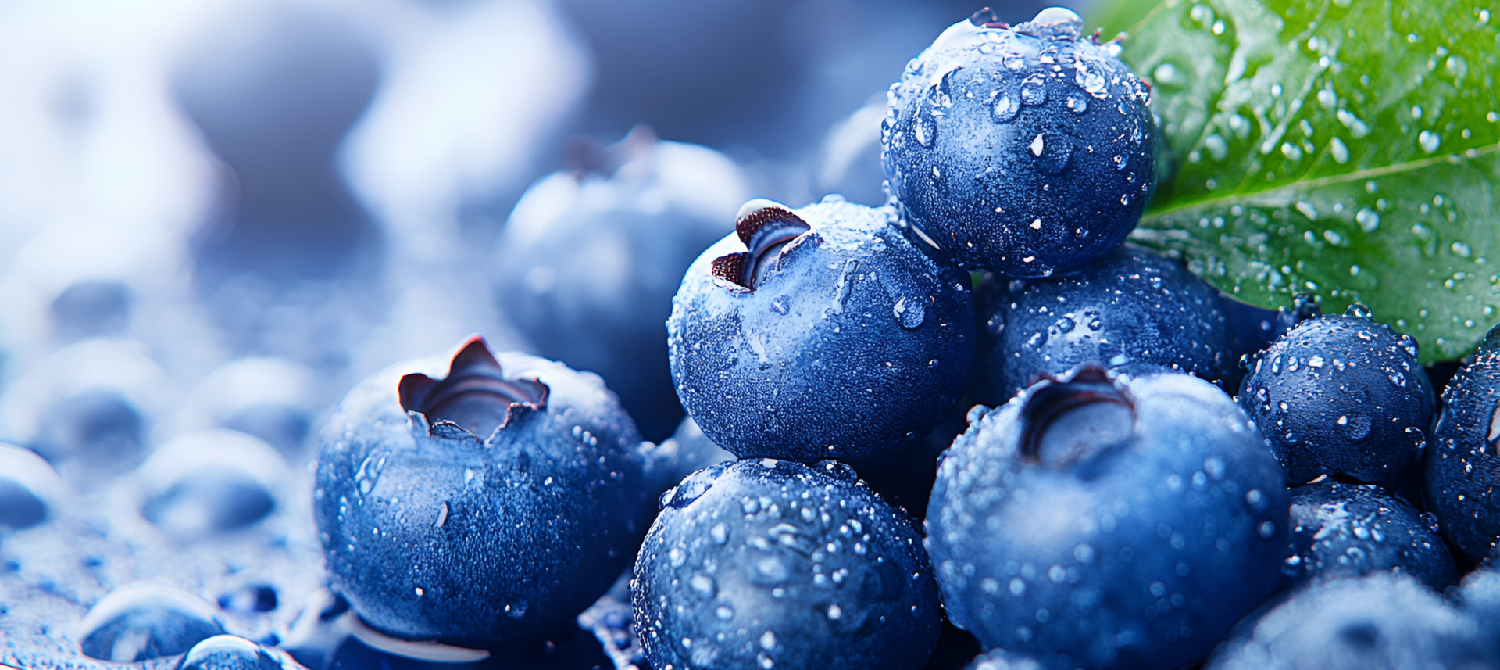 Pure Blueberry Powder Close-Up Fine-Grind Blueberry Powder