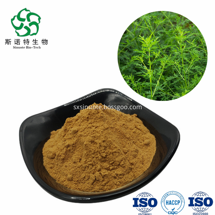 Artemisia Annua Extract Artemisia Annua Extract