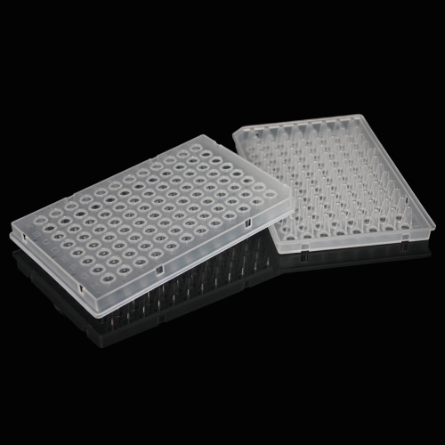 Best DNase RNase free 96 well PCR plate Manufacturer DNase RNase free 96 well PCR plate from China