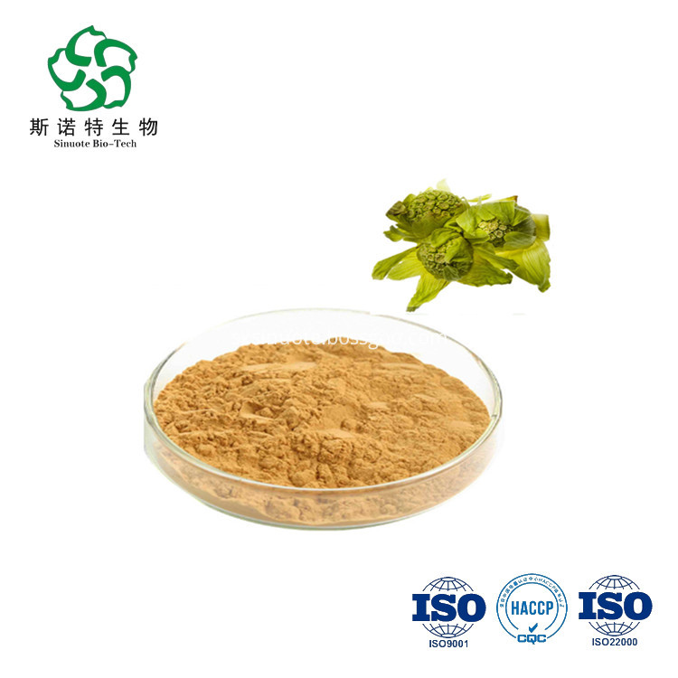 Butterbur Extract Butterbur Extract