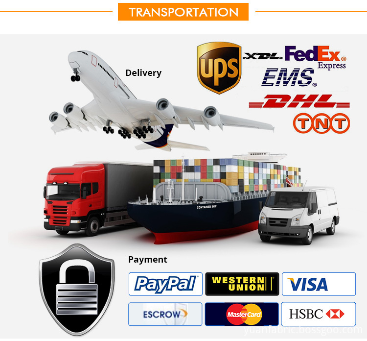 Transportation Transportation