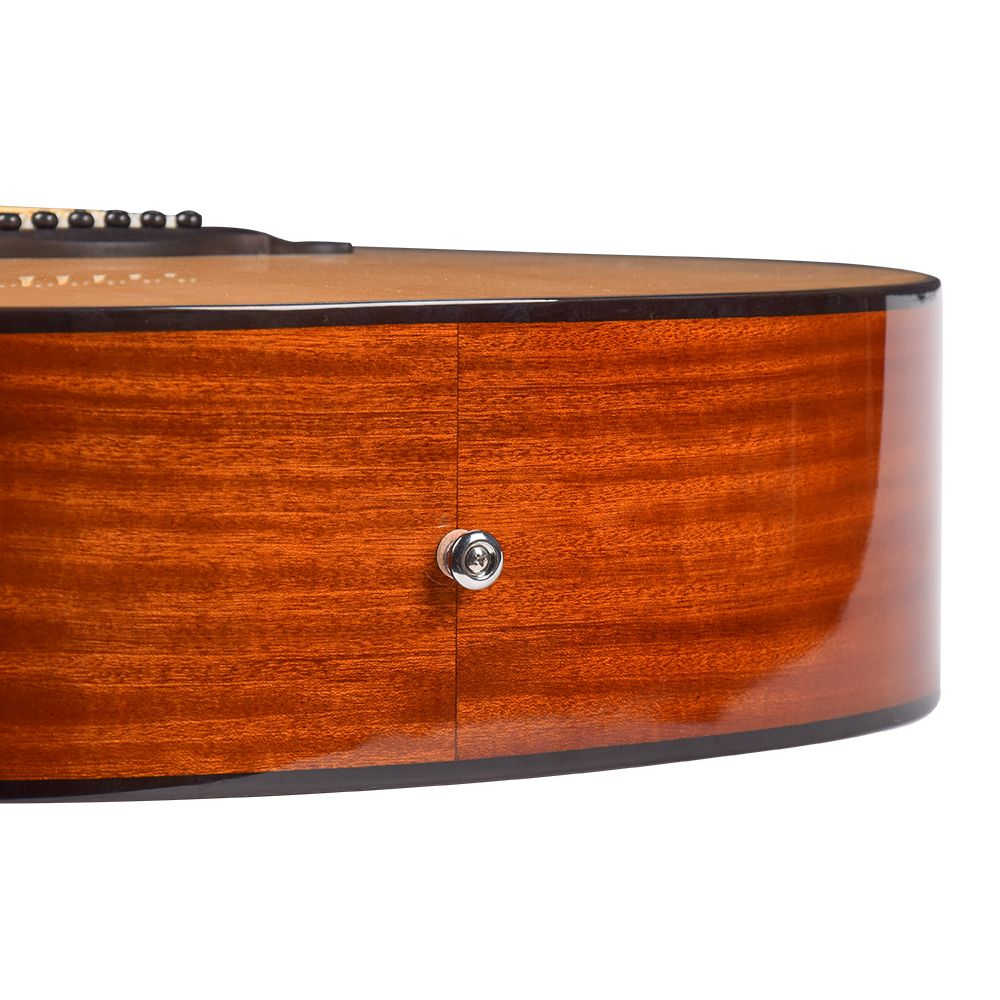 Ts66 Semi Guitar Acoustic Ts66 Semi Guitar Acoustic