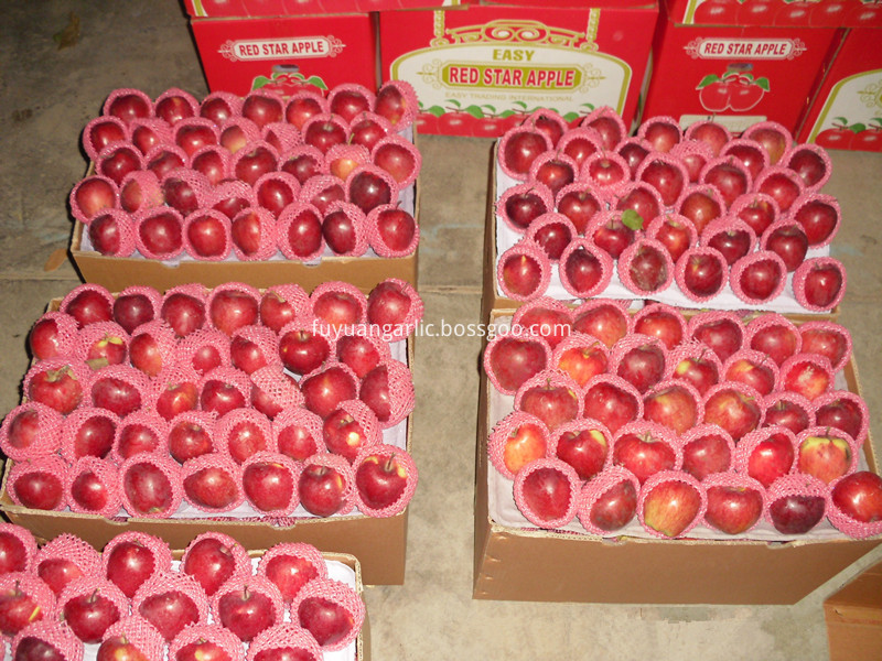 maçã vermelha fresca fresh red apple