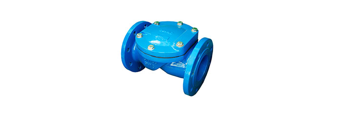 check valve1