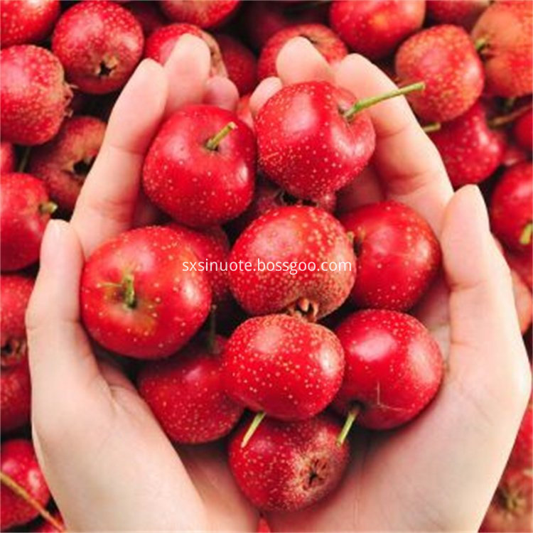 Hawthorn Fruit Extract Hawthorn Fruit Extract