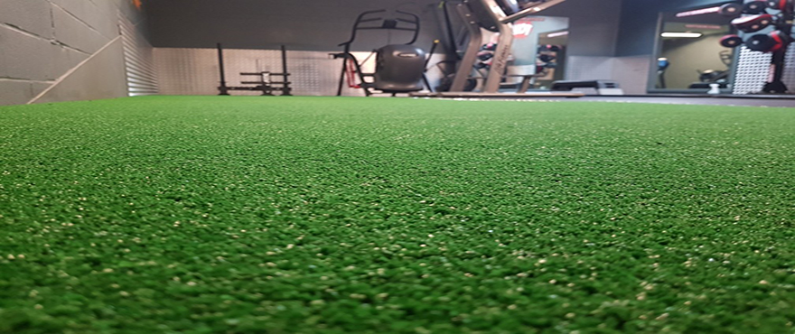 Gym Artificial Grass