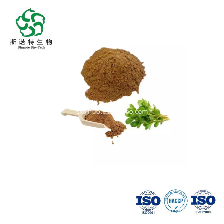 Pure Purslane Extract Pure Purslane Extract