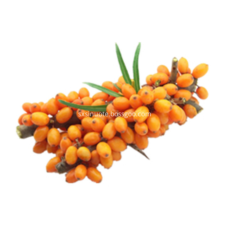 Seabuckthorn Extract Powder Seabuckthorn Extract Powder