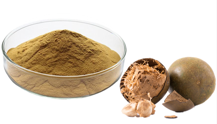 Monk Fruit Extract Monk Fruit Extract