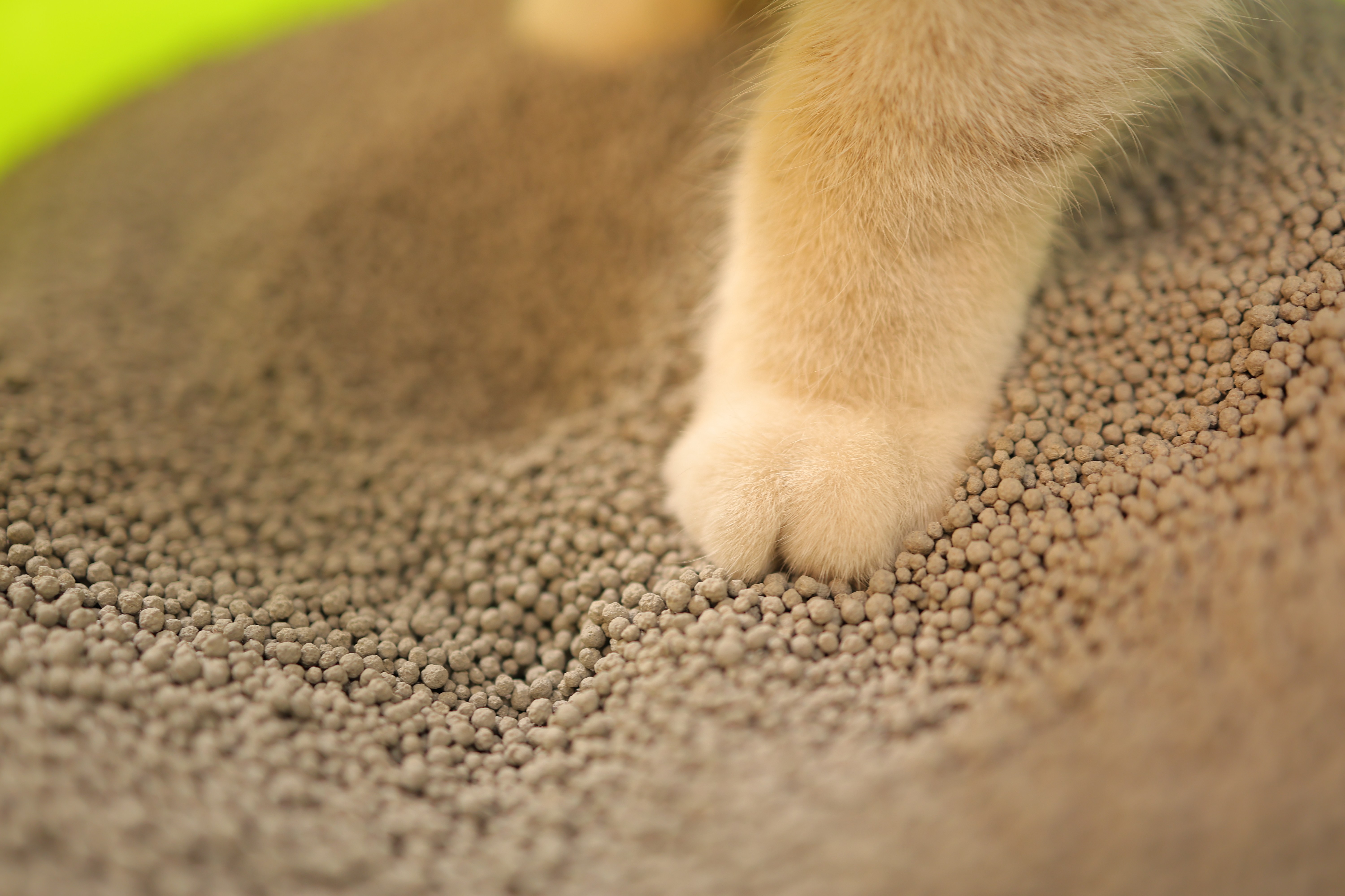 1.5mm and 3.0mm Bentonite Cat Litter 1.5mm and 3.0mm Bentonite Cat Litter