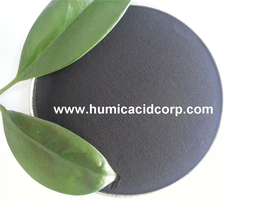 humic acid chelated zinc trace element