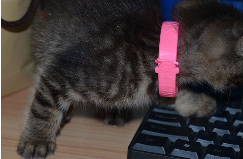 silicone anti-mosquiko pet collar 